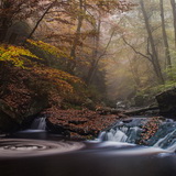 Autumn in the Ardennes